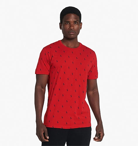 RL Mens S/S R-N Small Pony Print T-Shirts TM-PL88FR