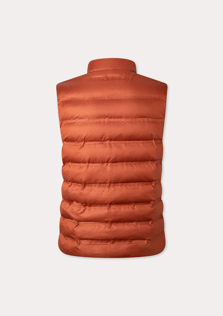 Hackett Mens Gillet HM402784