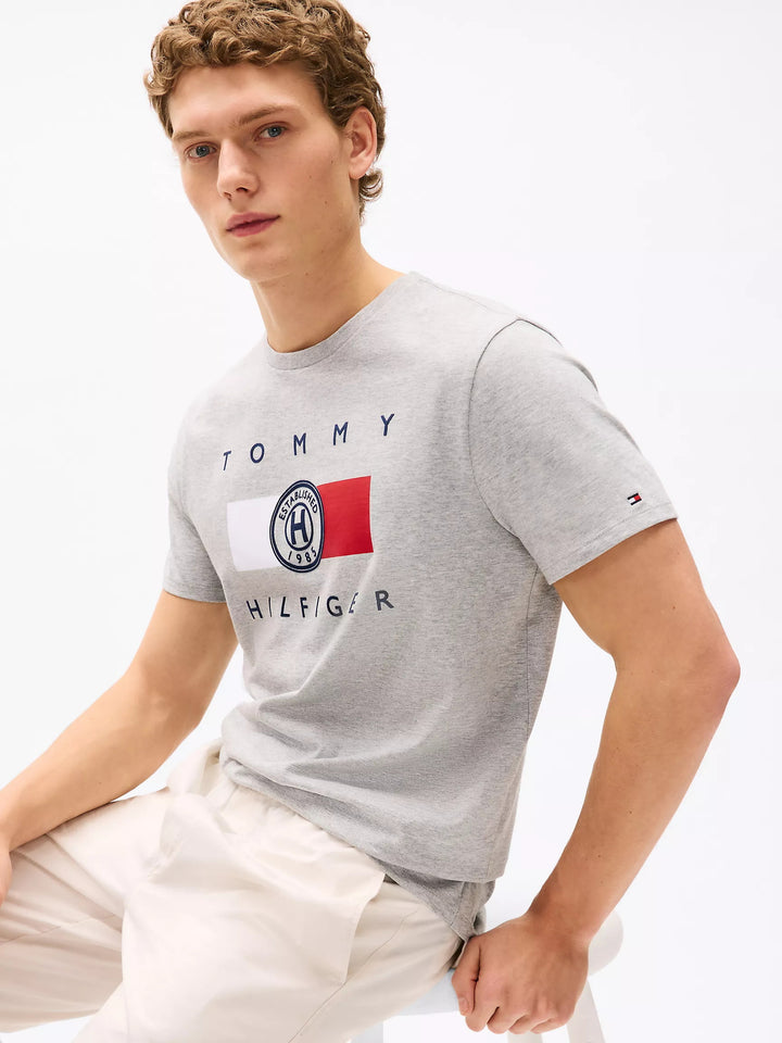 Tommy Hilfiger Mens R-N T-Shirt XM04144