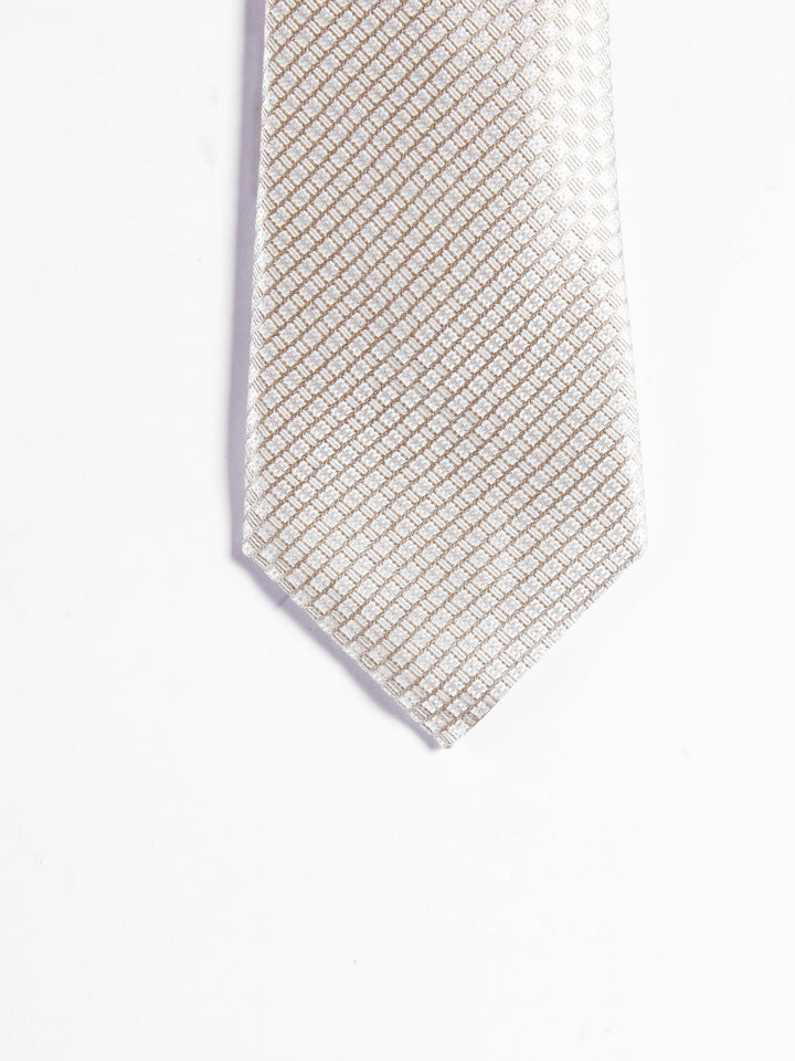 Canali Men 100%Silk Tie HJ03621