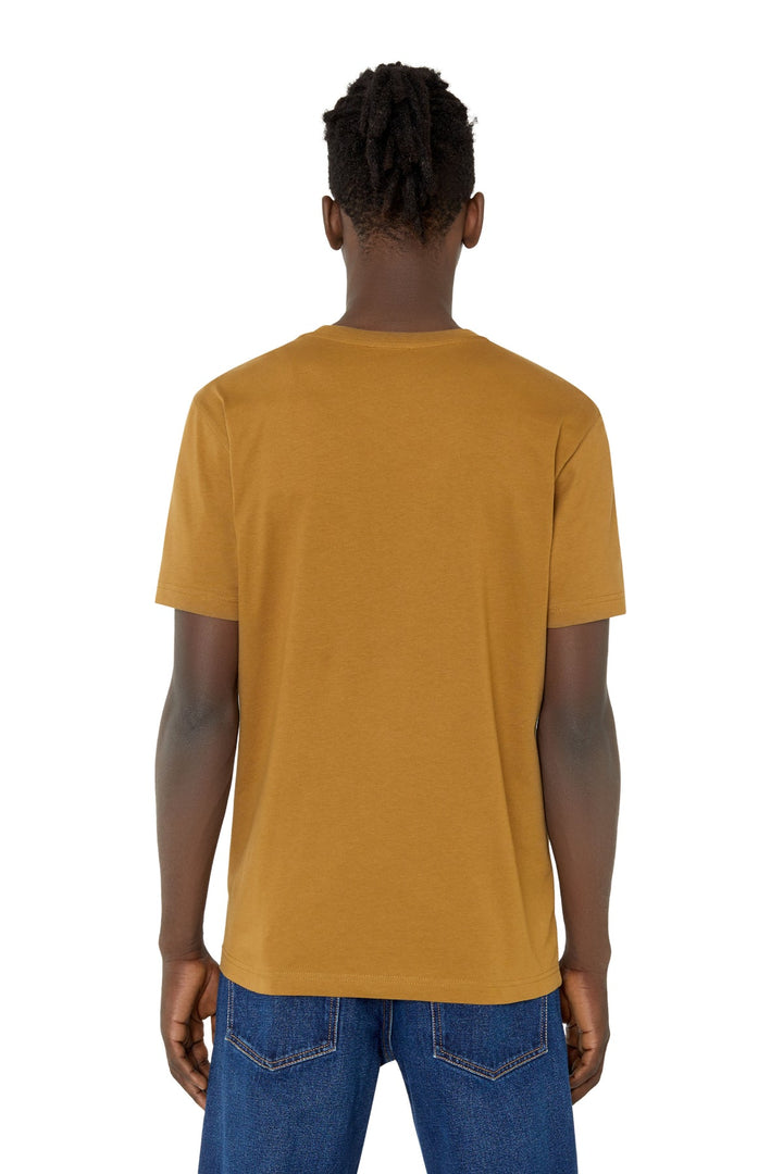 Men T-DIEGOR-E14 T-SHIRT A06497-0GRAI-5DQ