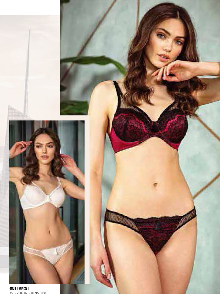 Anil Ladies Bra Set 4801