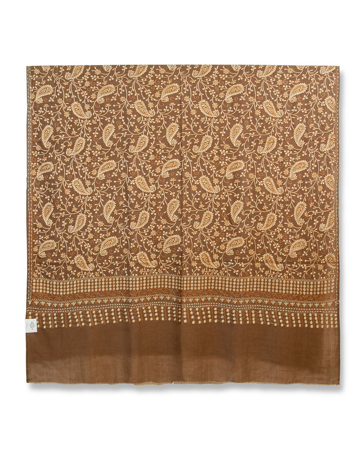 HS MP Salfe Zari Jall Pista Shawl Pashmina