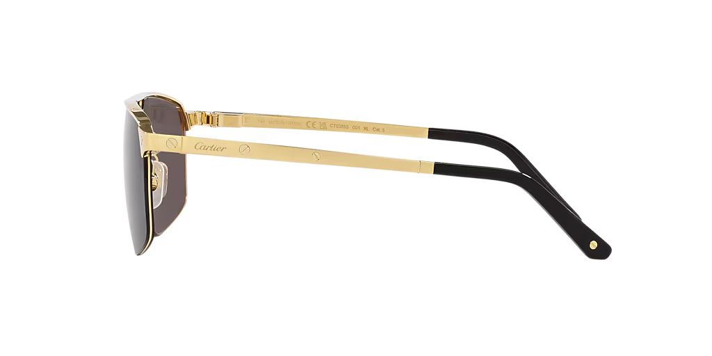 CTR  Sunglasses CT0385S -60-001