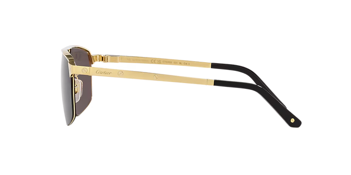 CTR  Sunglasses CT0385S -60-001