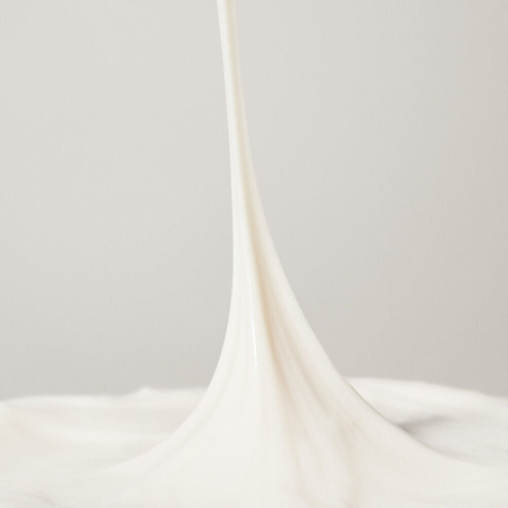 Shiseido Hydrating Rich Cream 50ml