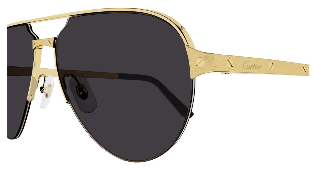 CTR  Sunglasses CT0386S -60-001