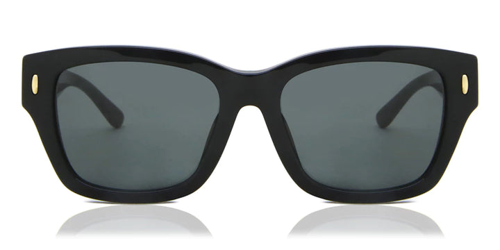 Tory Burch Sunglass 0TY7167U 170987