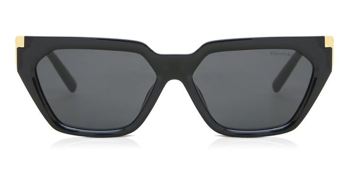 TIFFANY SUNGLASS TF4205U-56-8001s4