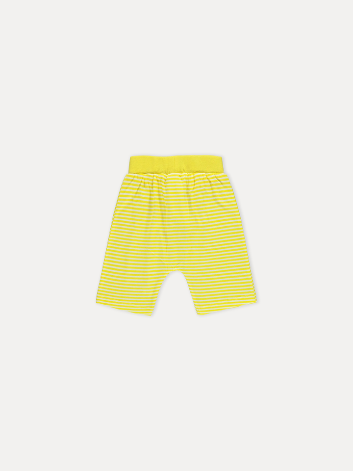 Civil Boys Cotton Shorts #D783 (S-22)