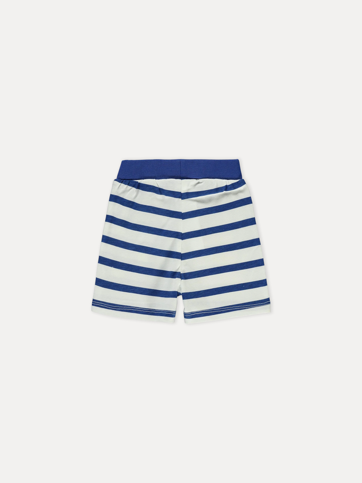 Civil Boys Cotton Shorts #D813 (S-22)