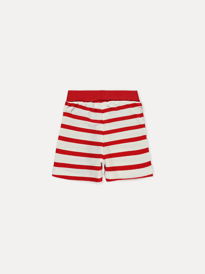 Civil Boys Cotton Shorts #D813 (S-22)