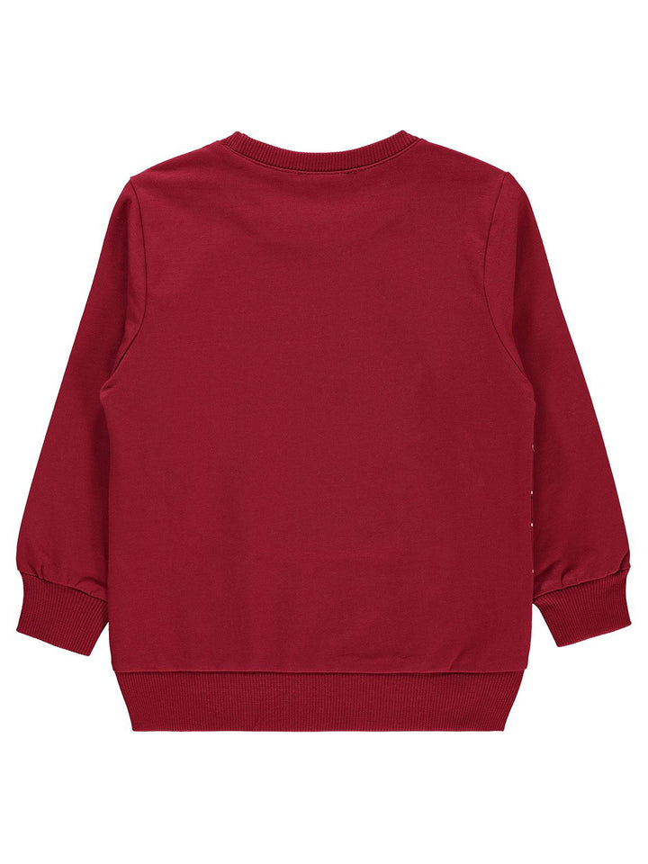 Civil Boys Pajama Suit Cotton L/S 2Pcs #E550 (W-22)