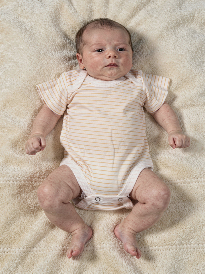 Marco Polo Baby H/S Body Suit 5PK (S-24)