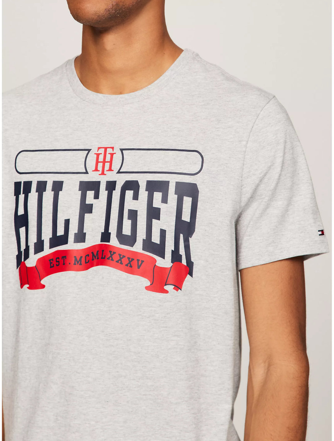 Tommy Hilfiger Mens R-N T-Shirt AT-SB-78JA479 (Grey)