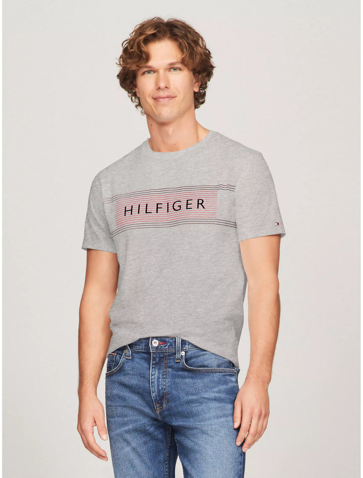 Tommy Hilfiger Mens R-N T-Shirt AT-SB-78JA202 (Grey)