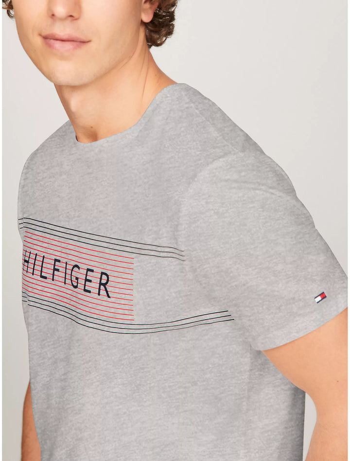 Tommy Hilfiger Mens R-N T-Shirt AT-SB-78JA202 (Grey)