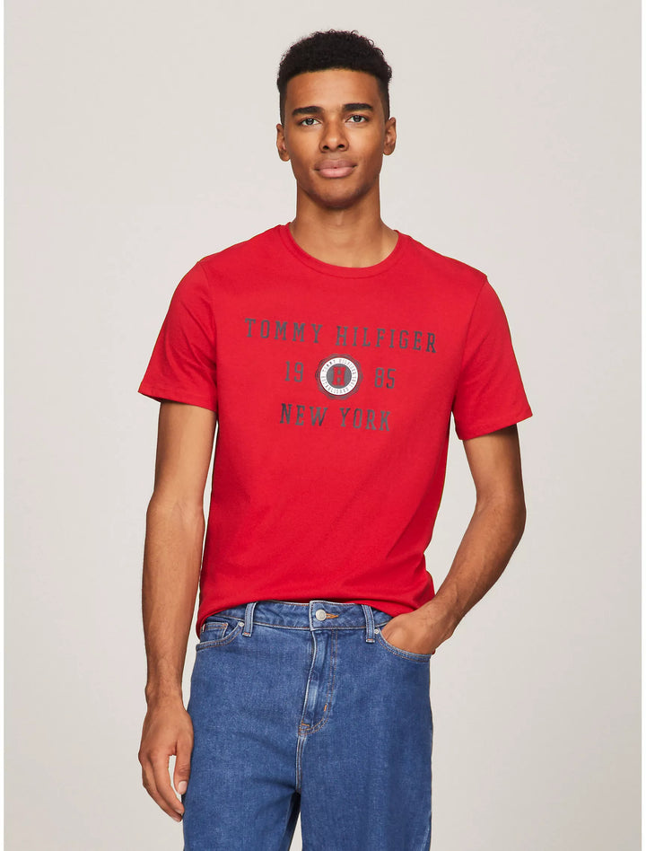 Tommy Hilfiger Mens R-N T-Shirt AT-SB-78JA480 (Red)