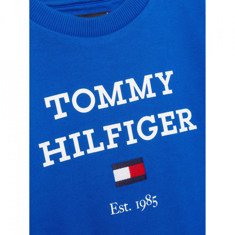 Tommy Hilfiger Mens Sweat Shirt-78J6913