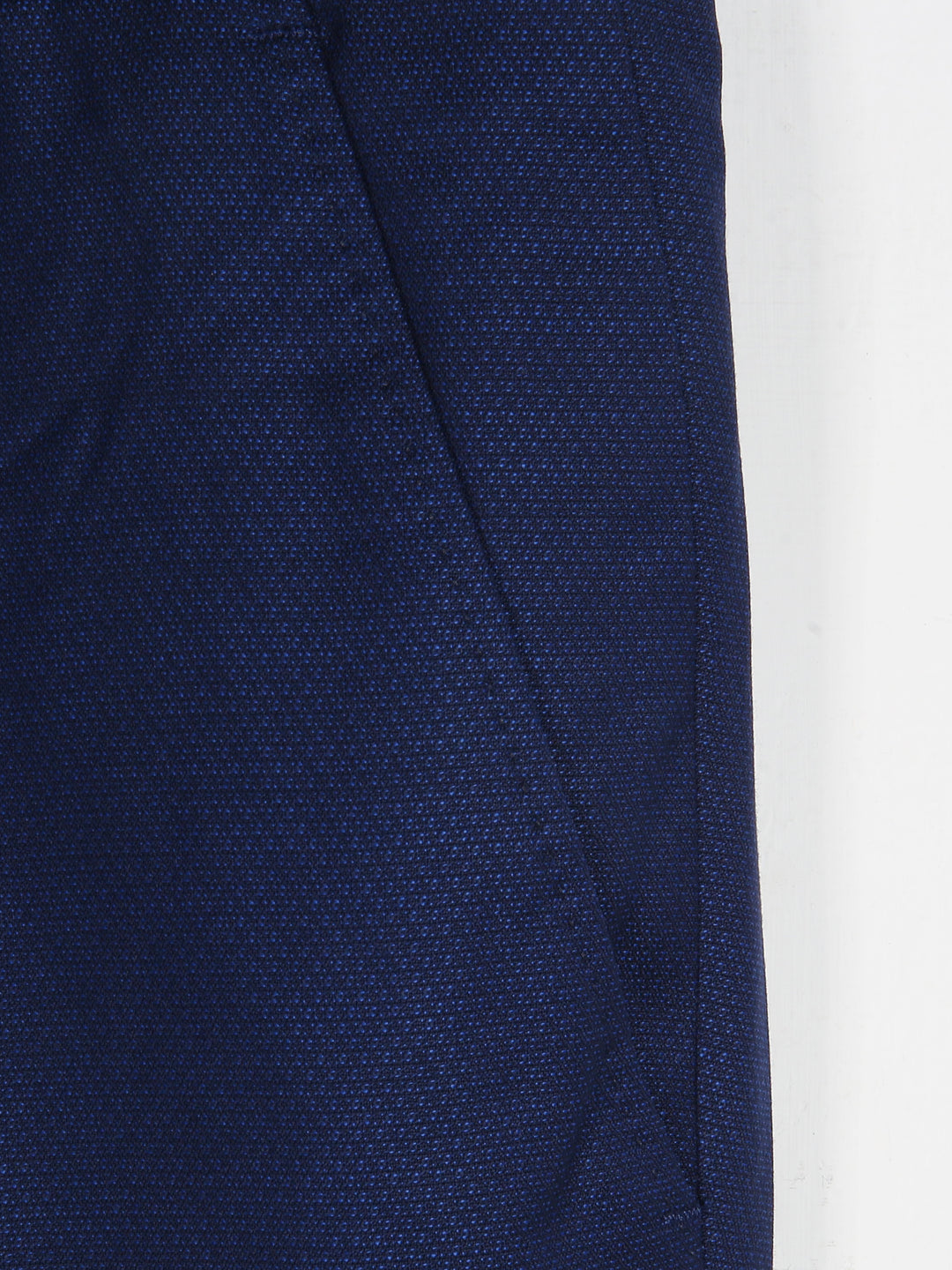 Jaeger Men Wool Regular (SF) Textured Formal Trouser 8500305