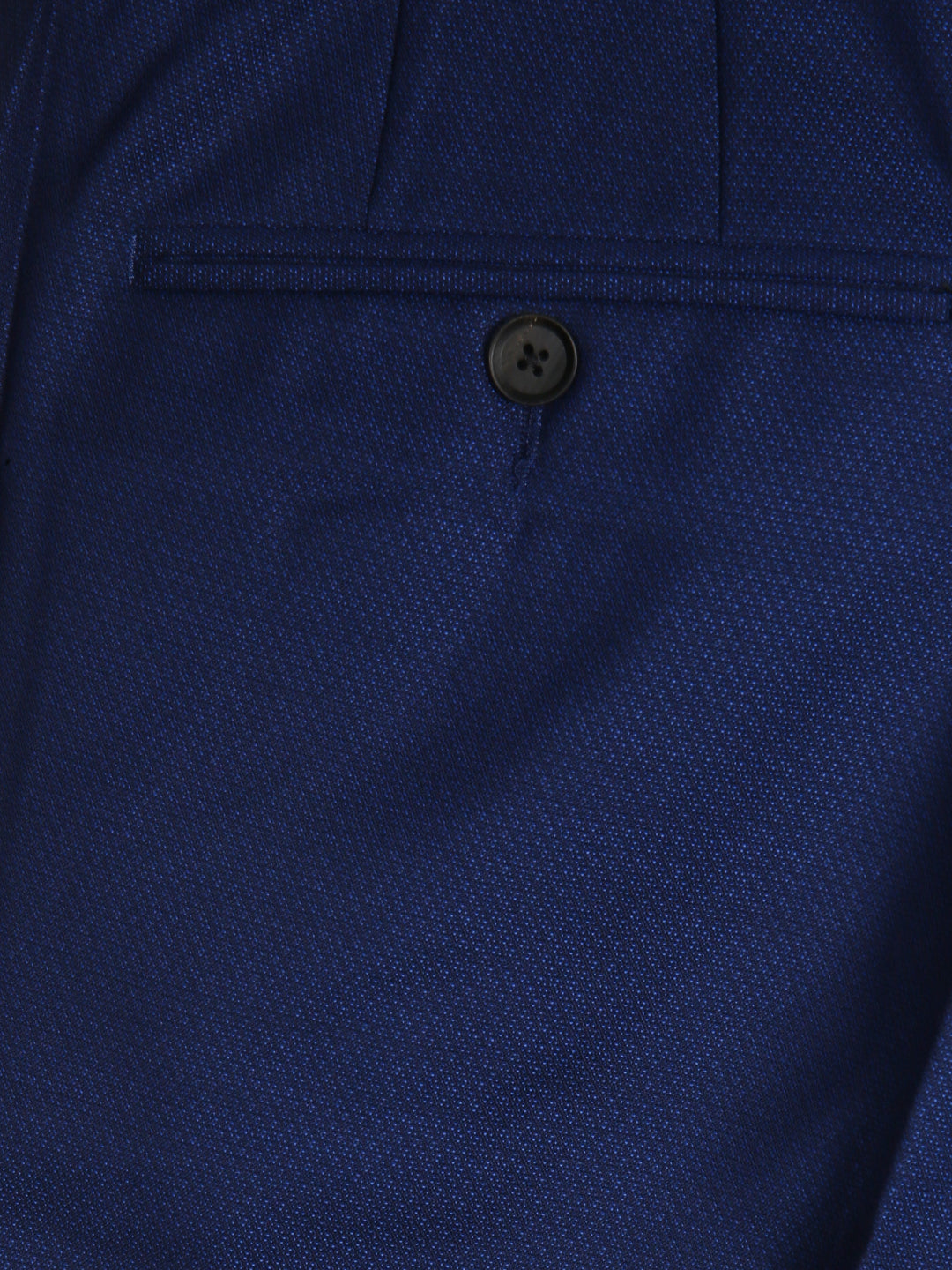 Jaeger Men Wool Regular (SF) Textured Formal Trouser 8500305