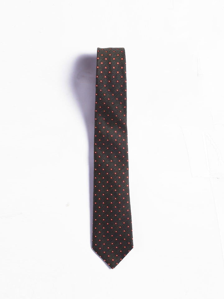 Canali Men 100%Silk Tie HJ03801