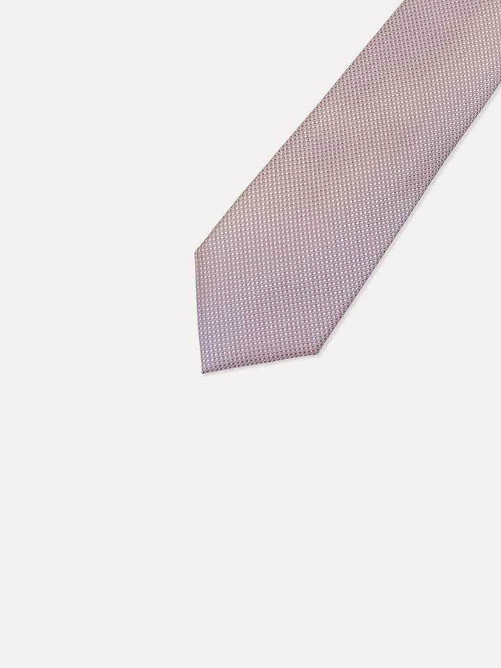 CK Men 100%Polyester Printed Ties MT-CK0010C072