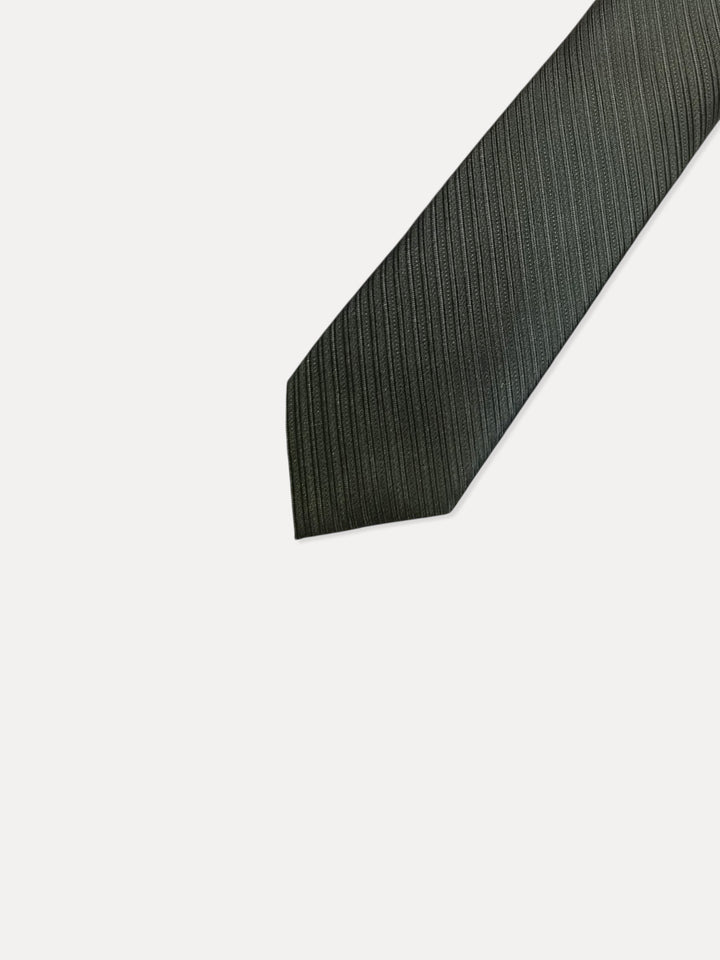 CK Men 100%Polyester Lining Ties MT-CK0010C089