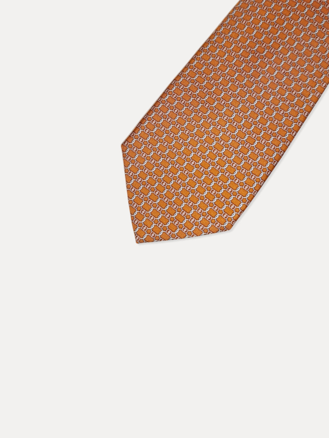 Ferragamo Men 100%Silk Printed Ties MT-351260/005