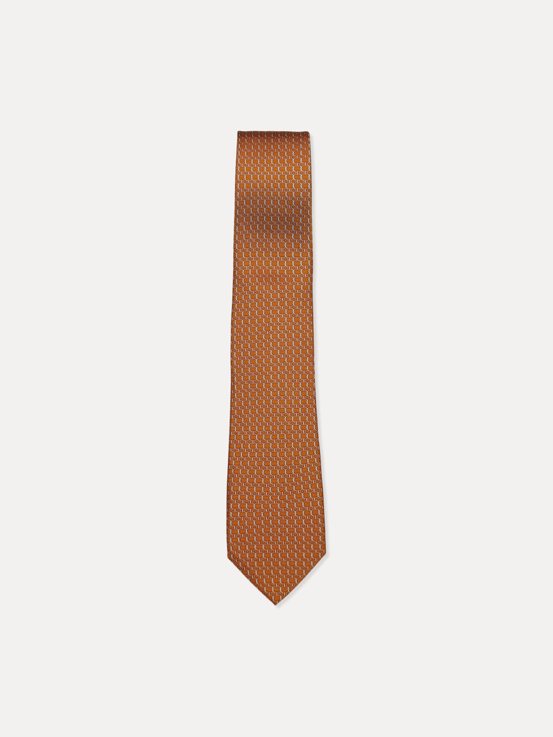 Ferragamo Men 100%Silk Printed Ties MT-351260/005