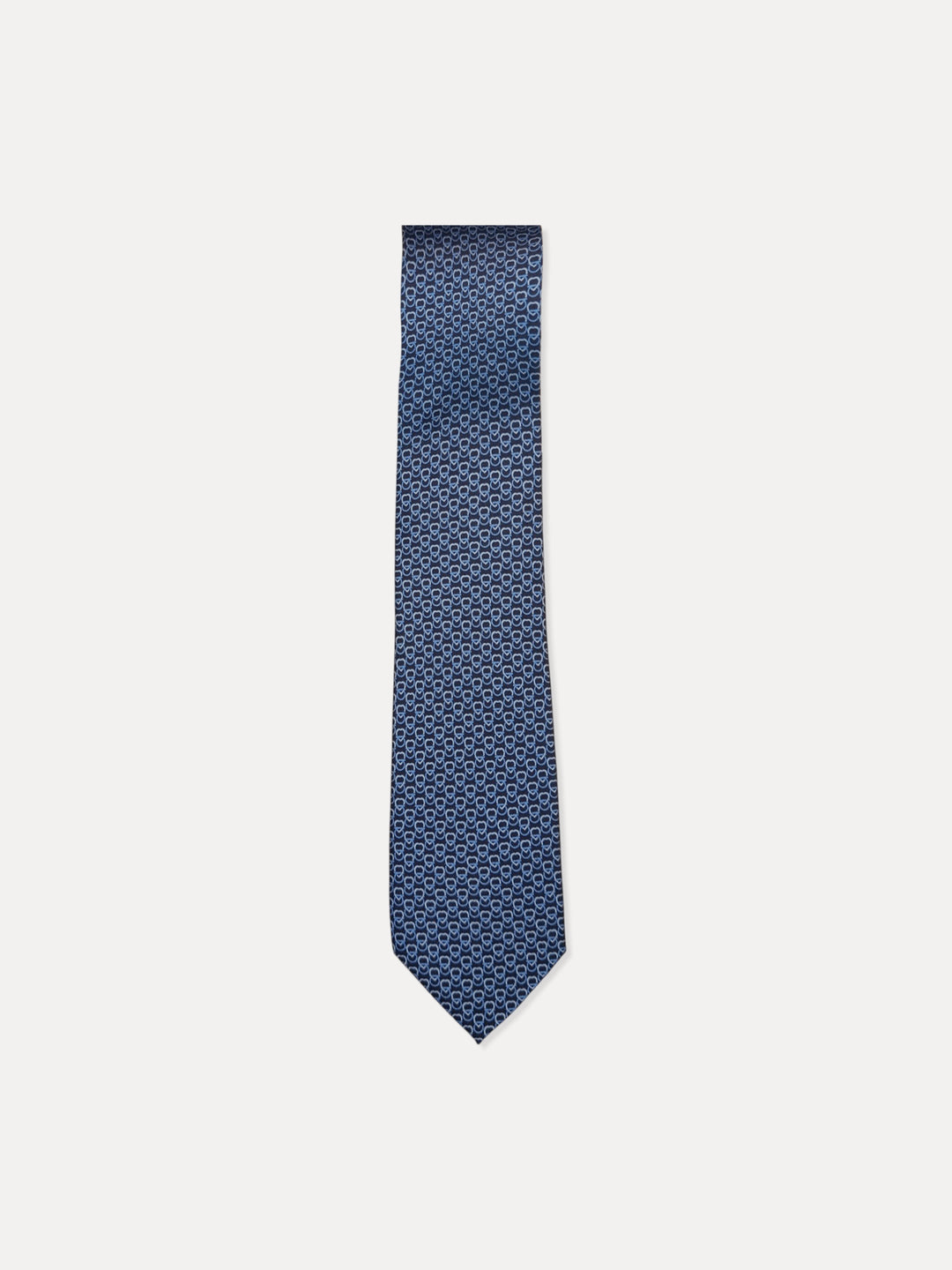 Ferragamo Men 100%Silk Printed Ties MT-351286/006