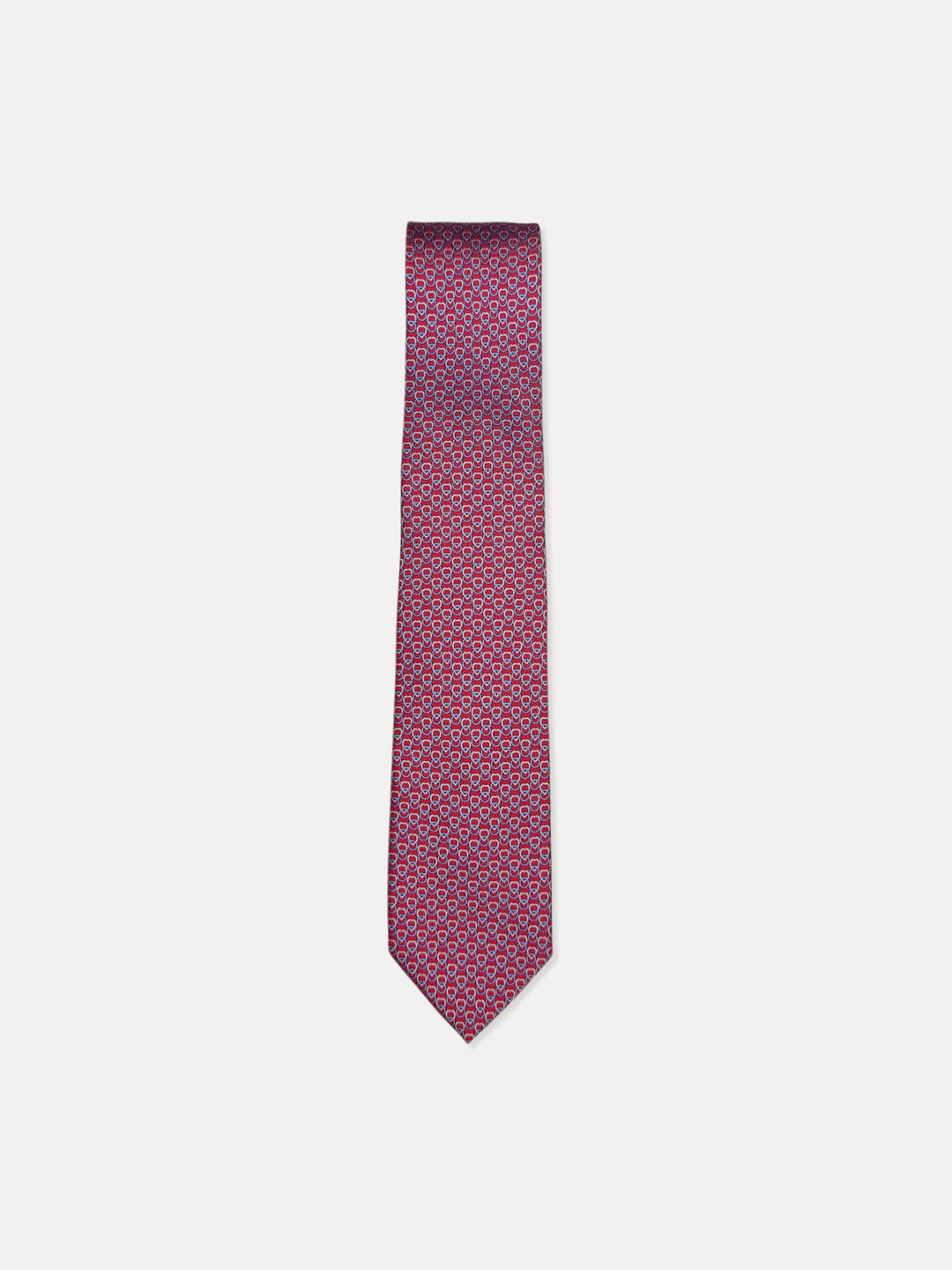 Ferragamo Men 100%Silk Printed Ties MT-351286/006