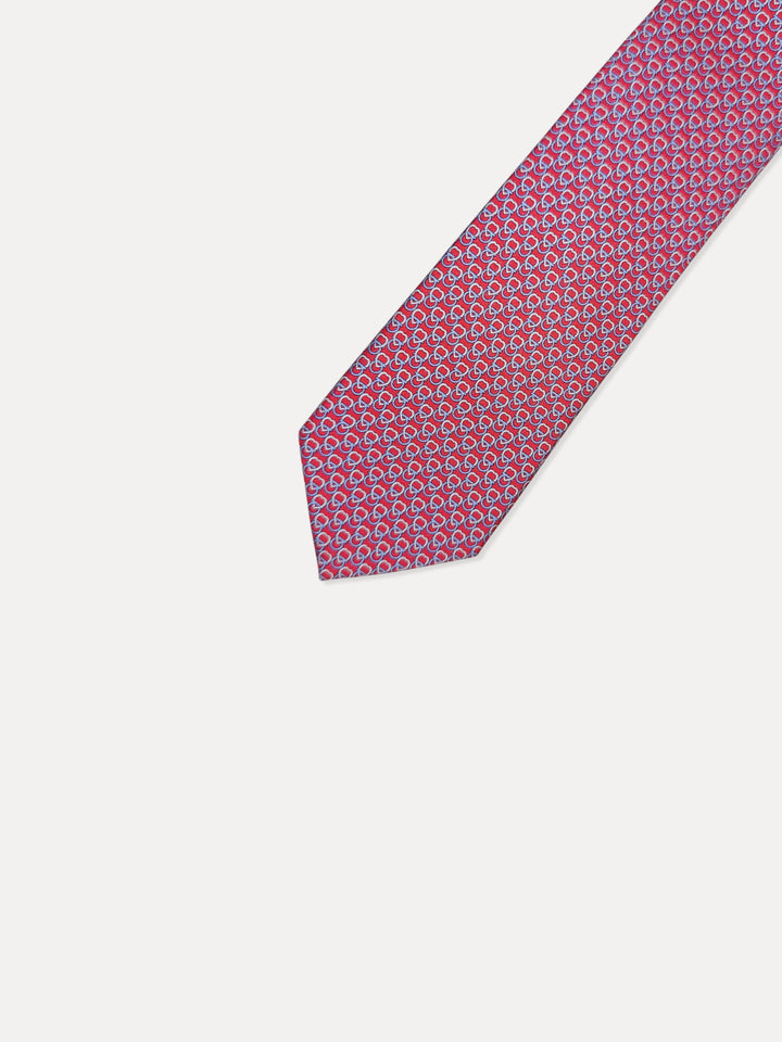 Ferragamo Men 100%Silk Printed Ties MT-351286/006