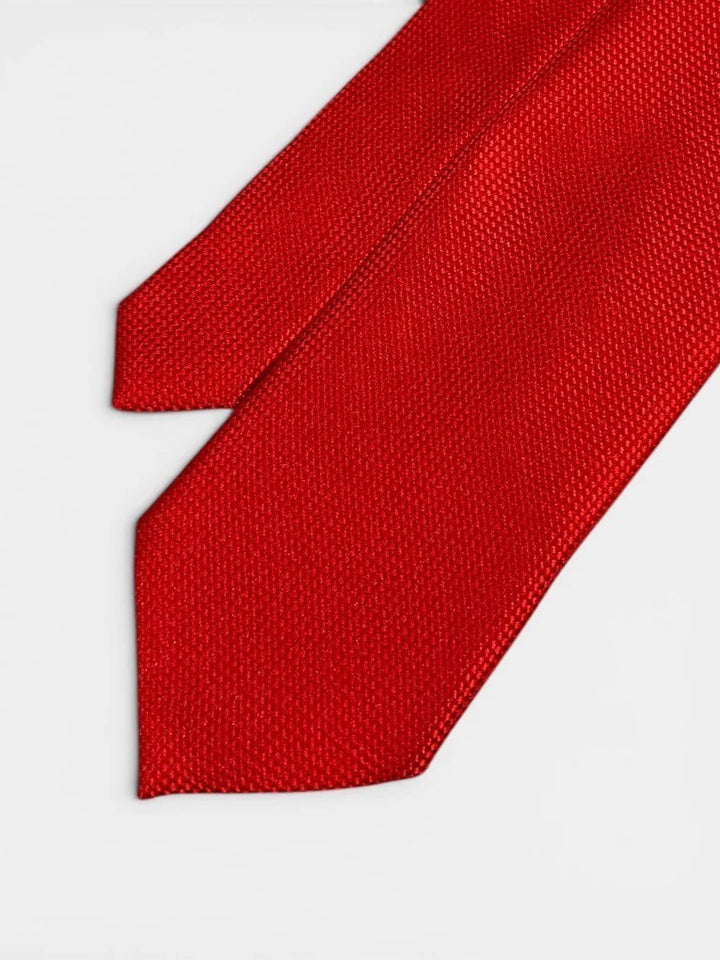HB Men Silk Textured Ties 50504013