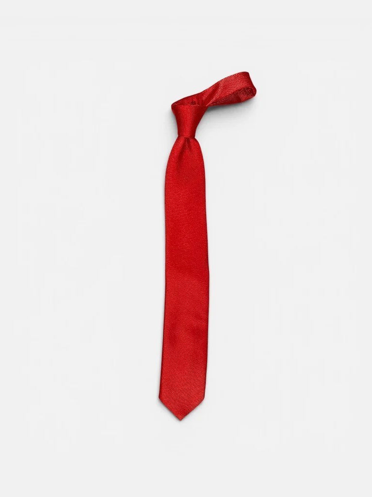 HB Men Silk Textured Ties 50504013