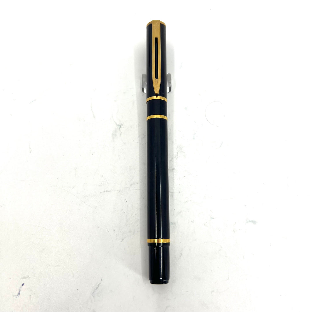 Waterman Expert Pen