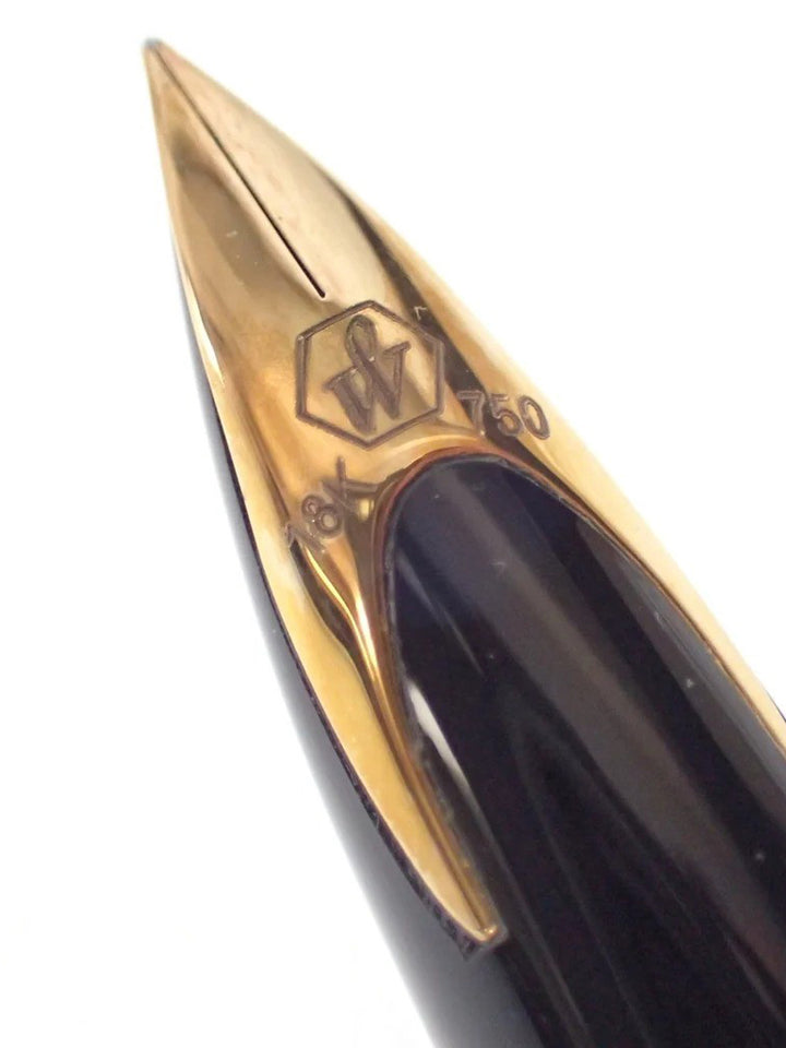 Waterman Carène CT Blue Fountain Pen