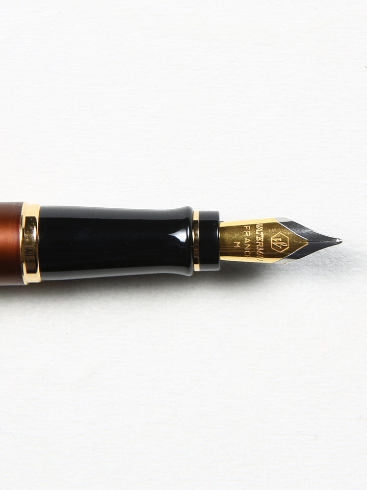 Waterman Expert FP