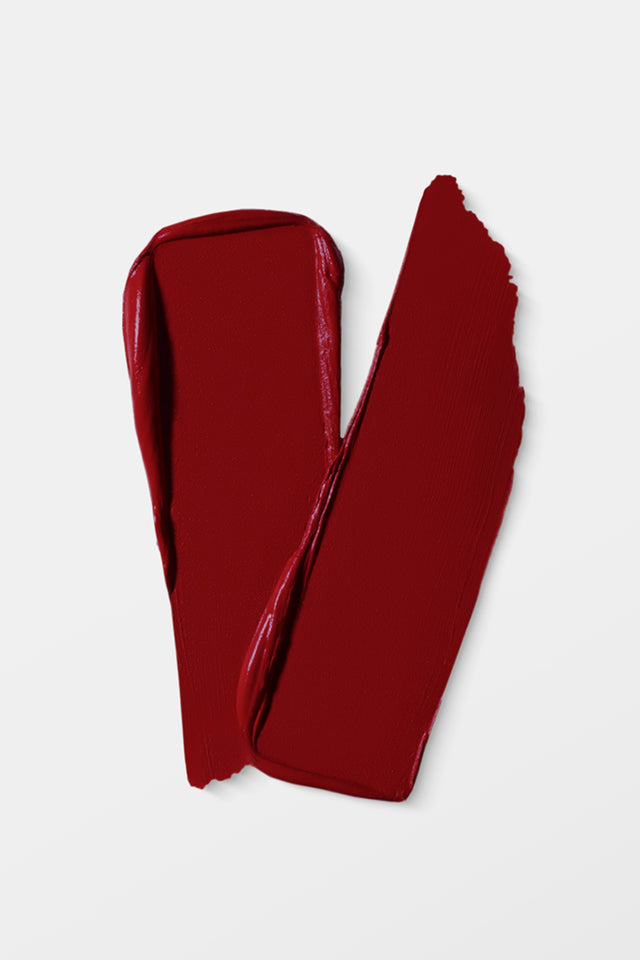 VIDA Matte Matters Lip Stick 101