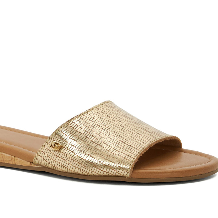 LINO - GOLD