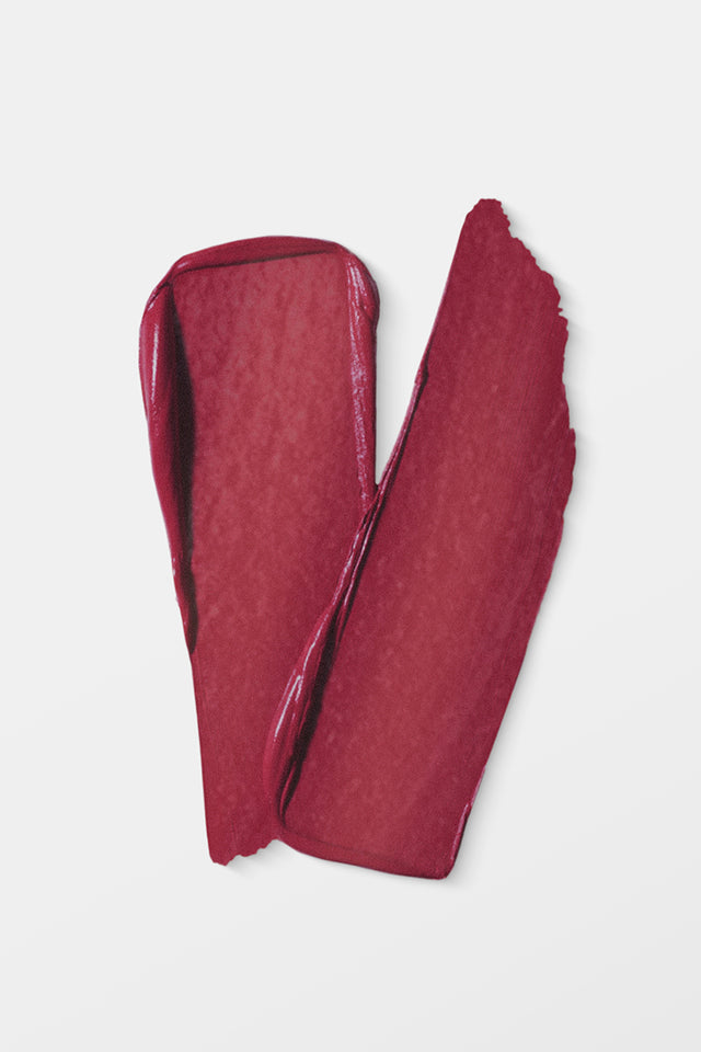 VIDA Matte Matters Lip Stick 102