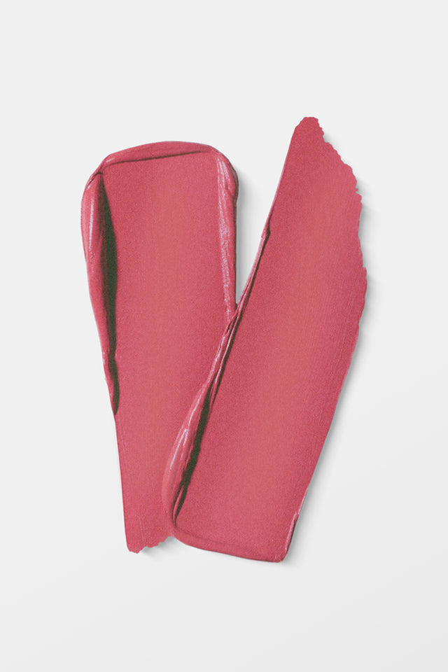 VIDA Matte Matters Lip Stick 255