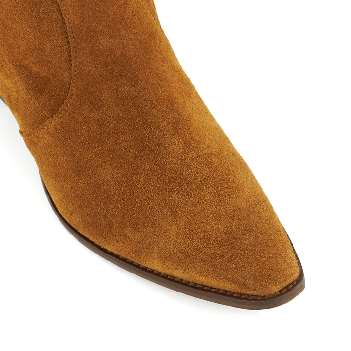 PASTERN - TAN