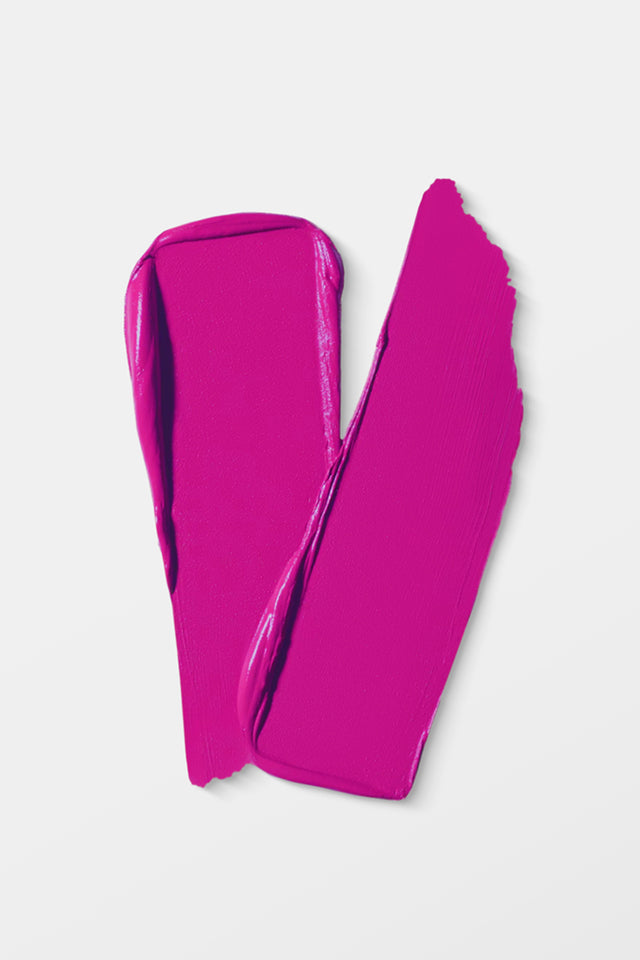 VIDA Matte Matters Lip Stick 203