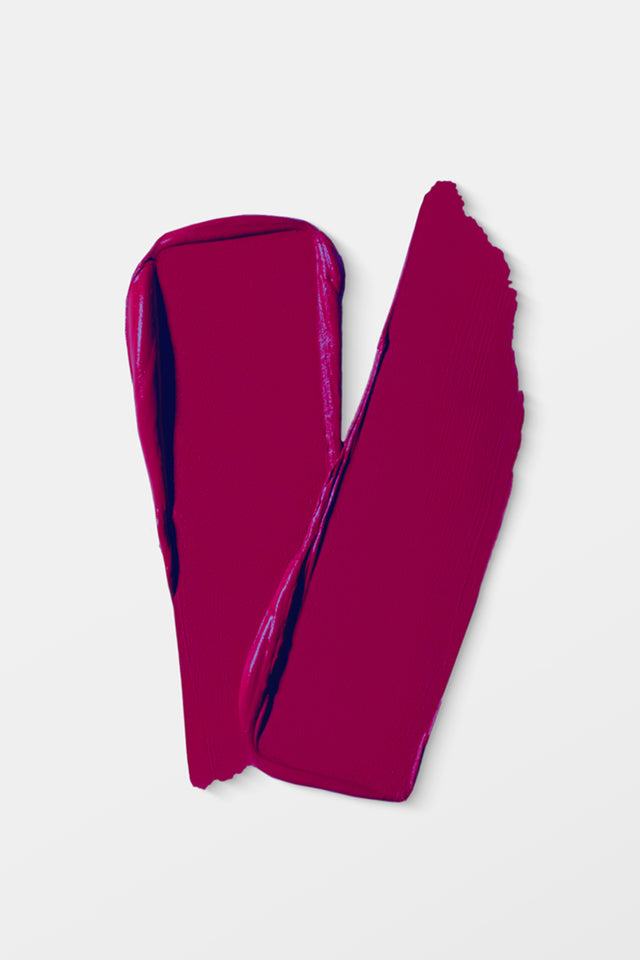 VIDA Matte Matters Lip Stick 202