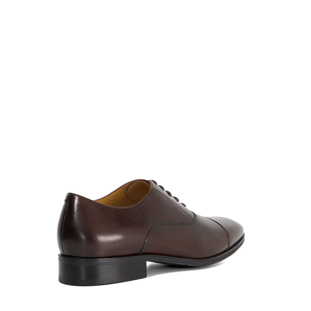SOLVER - BROWN