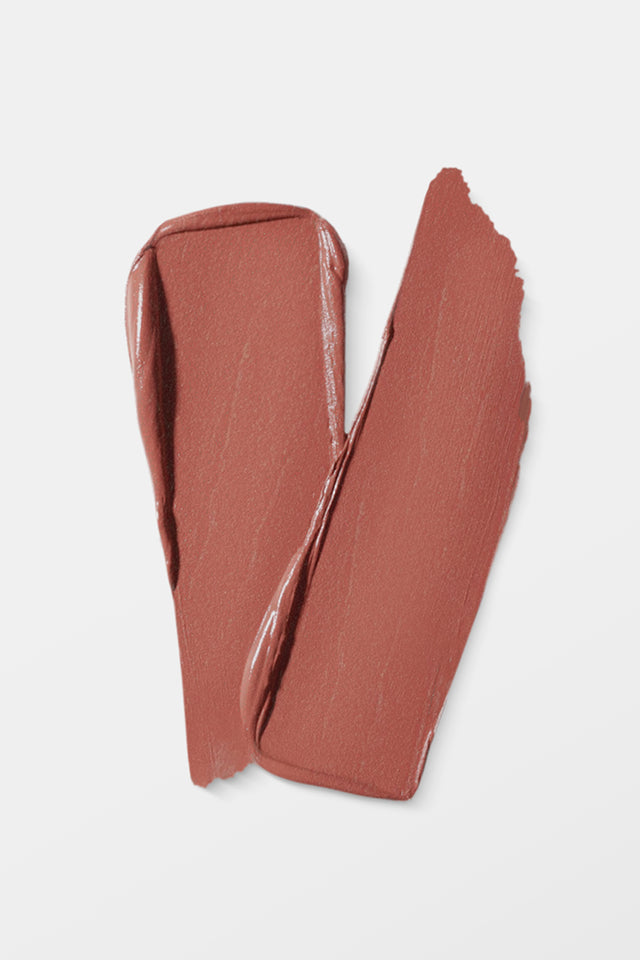 VIDA Matte Matters Lip Stick 453