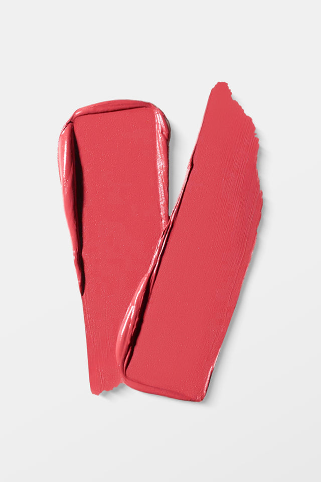 VIDA Matte Matters Lip Stick 303