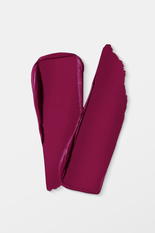 VIDA Matte Matters Lip Stick 201