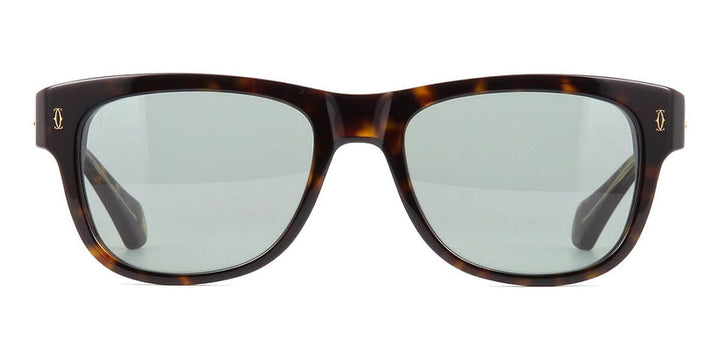 CARTIER Sunglasses CT0277S -55-002
